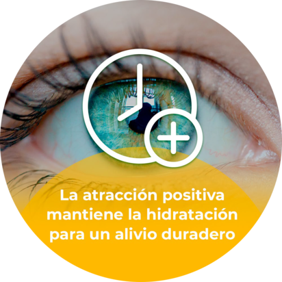 Calma las gotas para los ojos secos durante el día, sin conservantes en la  superficie de los ojos, gotas para los ojos para usuarios de lentes de